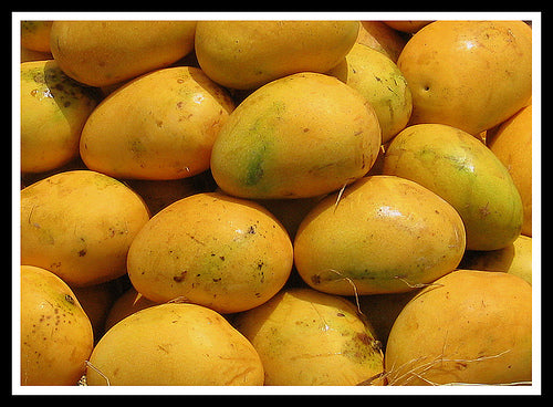 Banginapalli Mangoes